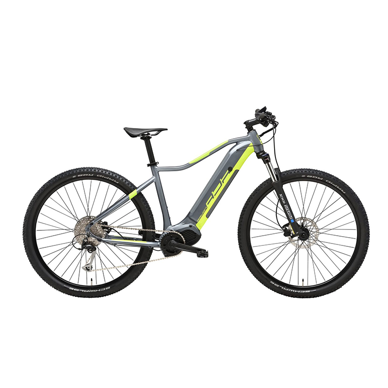 Bicicleta rayon 2.0 e-bike 29" t-l gris/amarilla oli