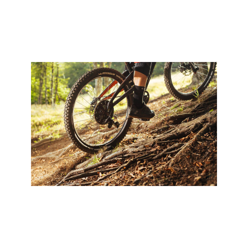 Cubierta 27.5x2.80 wild enduro rear gum-x tlr