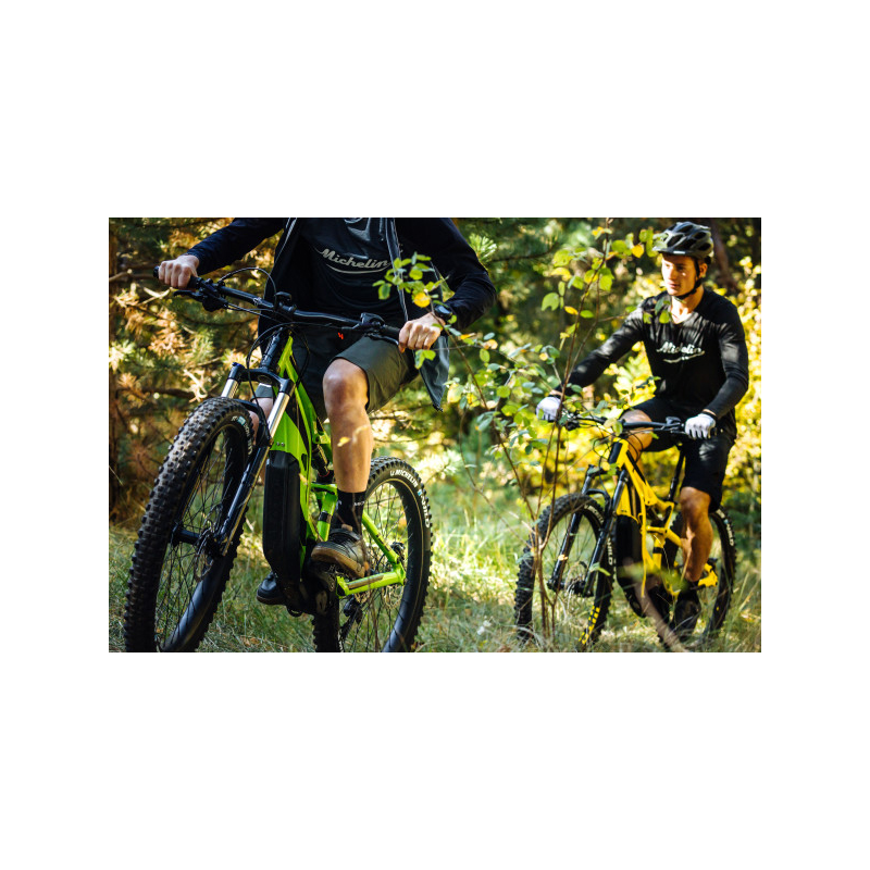 Cubierta 29x2.60 e-wild gum-x tras tlr