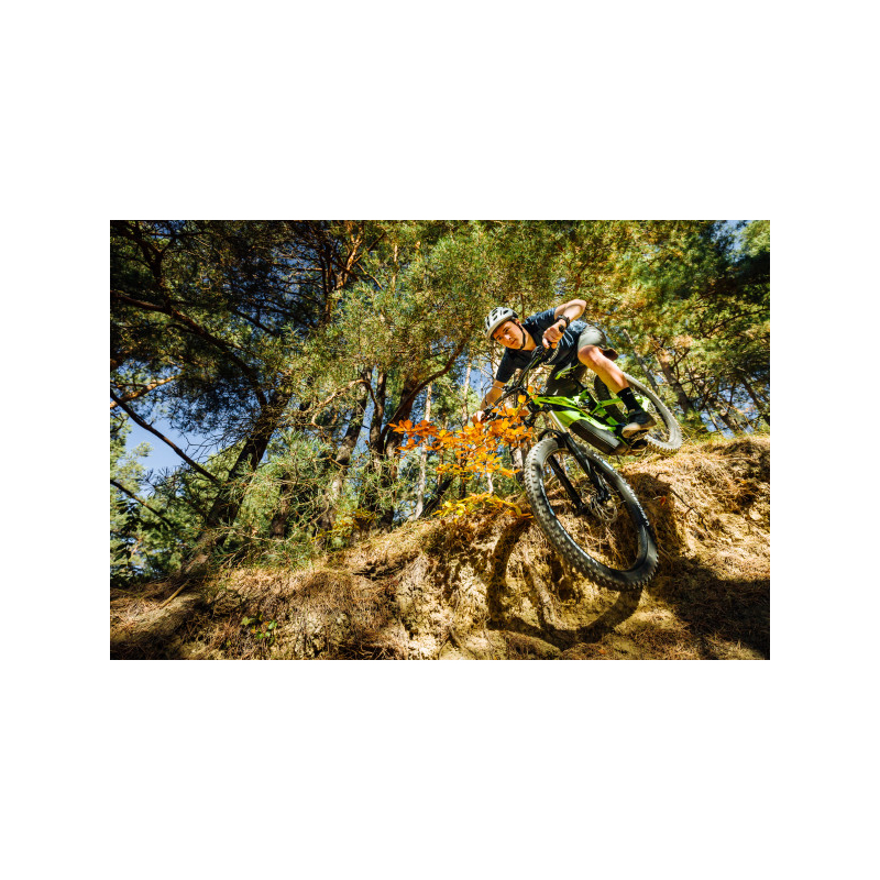 Cubierta 29x2.60 e-wild gum-x del tlr