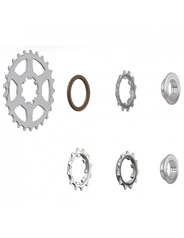 Corona miche polivalente campagnolo 9v 17