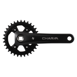 Bielas charm 32t 170mm 10v