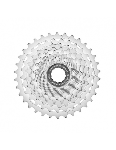 Cassette chorus 12v 11/34