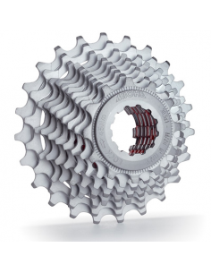 Cass miche shimano 10v 14/30