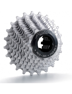 Cass miche campagnolo  11v 11/23