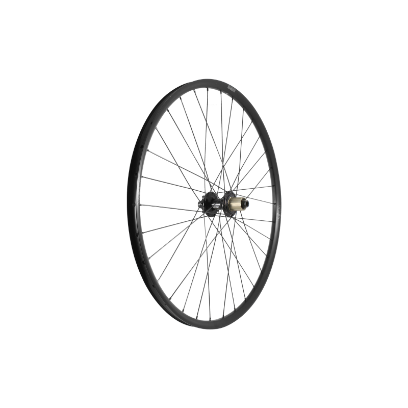 Rueda trasera w-xc v2.0 i25 tlr db 29 sh11/hg 6t acero