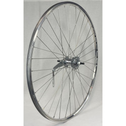 Rueda trasera excel pulida...