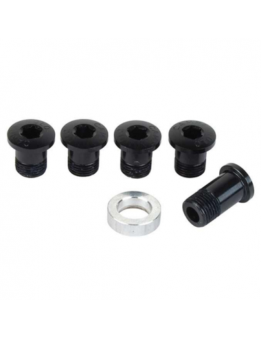 Kit tornillos plato campag(macho roscado) neg torx