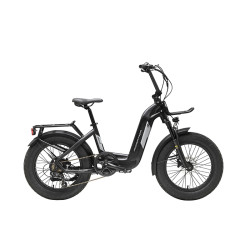 Bicicleta fat rooster...