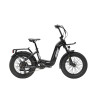 Bicicleta fat rooster...