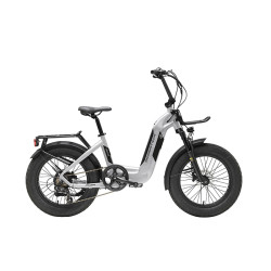 Bicicleta fat rooster...