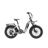 Bicicleta fat rooster...