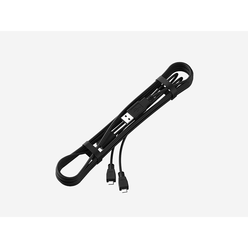Cable usb-usbmicro (para assioma pro rl, rs y mx ) longitud 2m