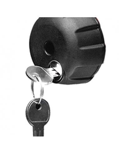 Kit de 4 pomos antirrobo con  2 llaves