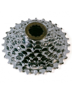 Piñon epoch 8v 13/28