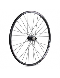 Rueda trasera 29" nainer eje 12x142mm disc 6t negr