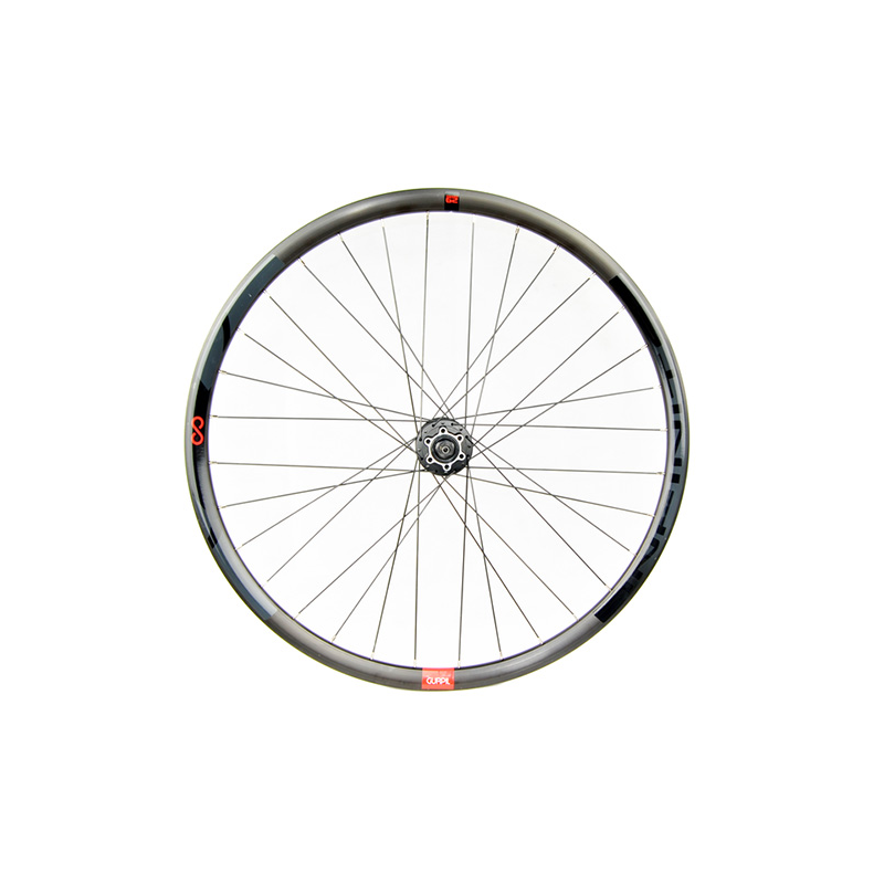 Rueda del 29" infinite c/eje 9,5mm disc 6t